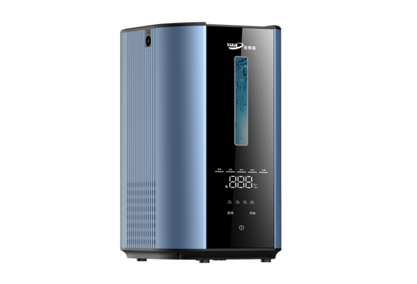 H300